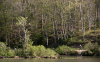Springtime at Pandapas Pond