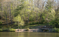 Springtime at Pandapas Pond