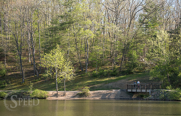Springtime at Pandapas Pond
