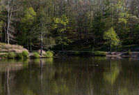 Springtime at Pandapas Pond