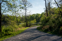 Springtime at Pandapas Pond