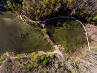 Springtime at Pandapas Pond