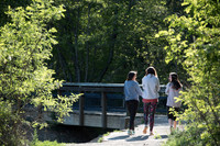 Springtime at Pandapas Pond