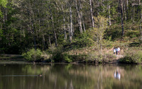 Springtime at Pandapas Pond