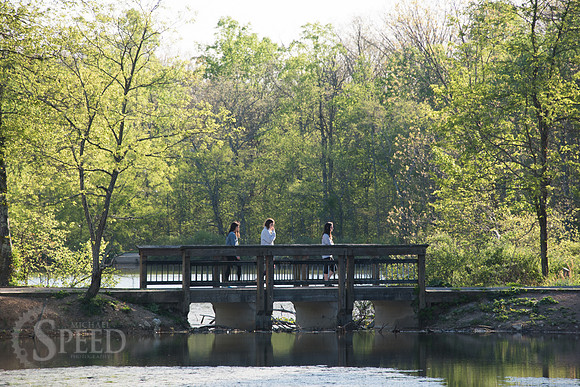 Springtime at Pandapas Pond