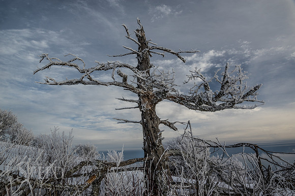 Grayson Highlands Winter