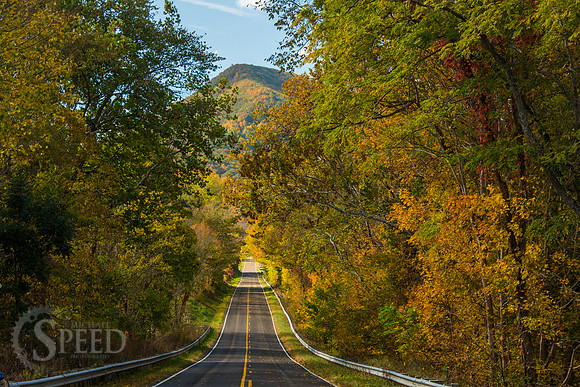 virginia fall color