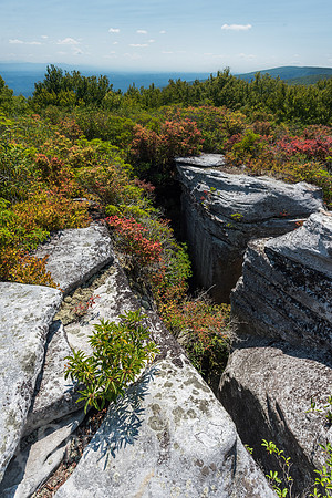 The Channels of Virginia
