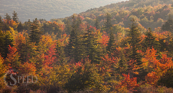 Grayson Highlands State Park