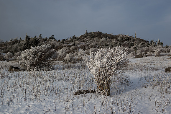 Grayson Highlands Winter