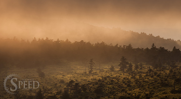 Grayson Highlands State Park