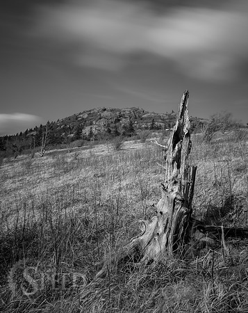 Grayson Highlands State Park
