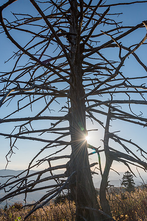 Whitetop Mountain Sunset