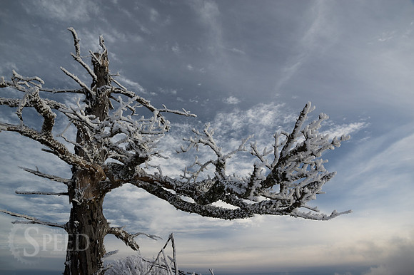 Grayson Highlands Winter