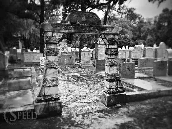 Savannah graveyard