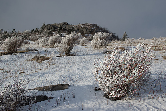 Grayson Highlands Winter