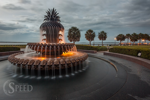 Pineapple Fountain Charleston