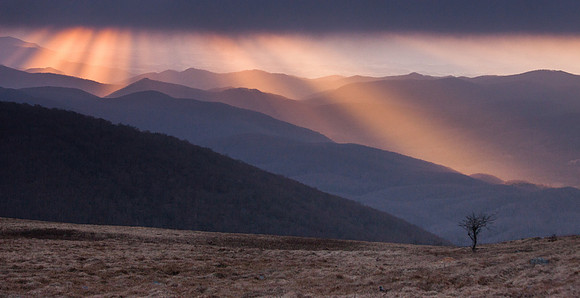 WhiteTop Mountain