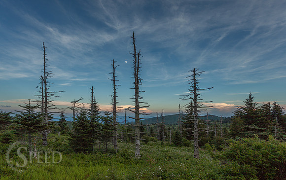 Grayson Highlands State Park