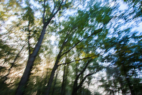 Washington County Virginia