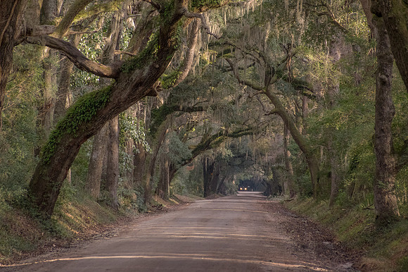 Edisto Island Beach and State Park