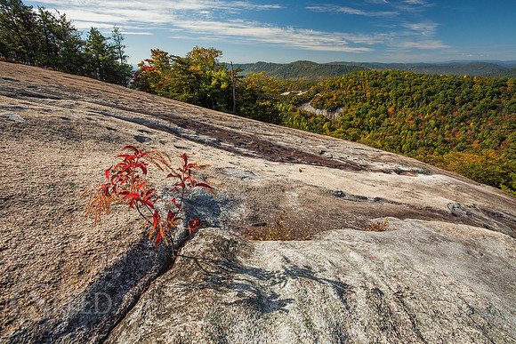 Stone Mountain State Park Fall Color