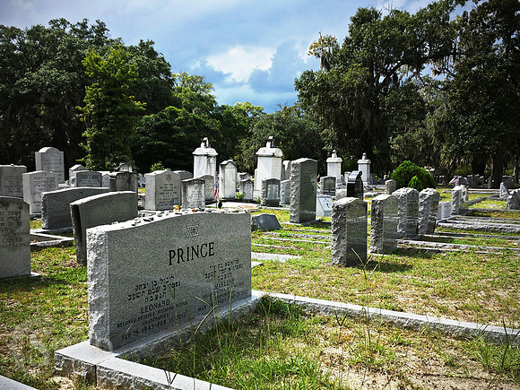 Savannah graveyard
