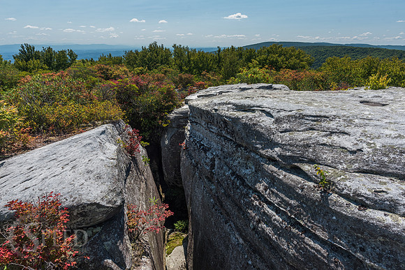 The Channels of Virginia