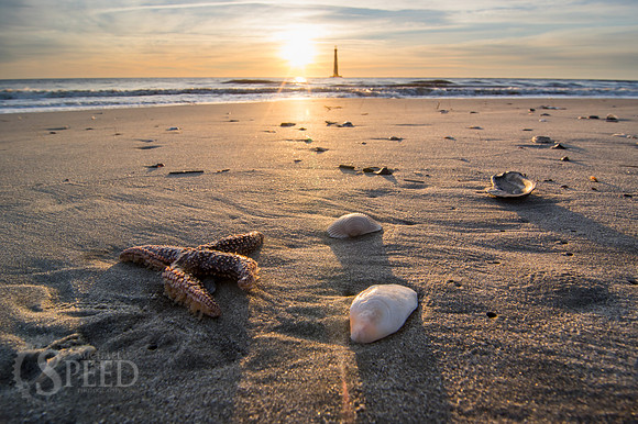 Morris Island Light