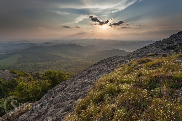 Buffalo Mountain Nature Preserve