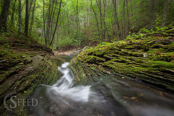 Devils Bathtub and Devils Fork Loop