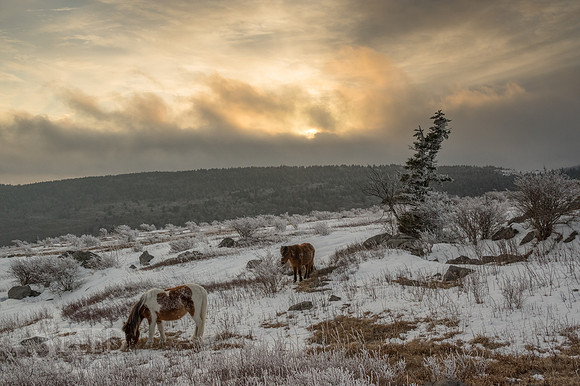Grayson Highlands Winter
