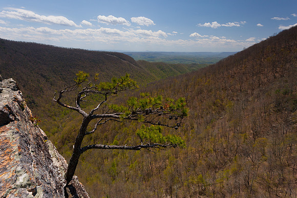 Virginia Cascades