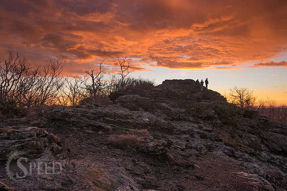 Buffalo Mountain Nature Preserve