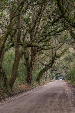 Edisto Island Beach and State Park