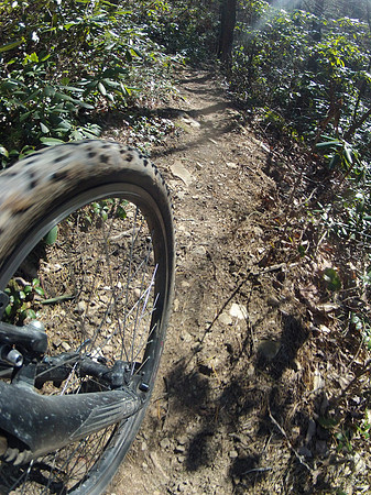 New River Trail State Park