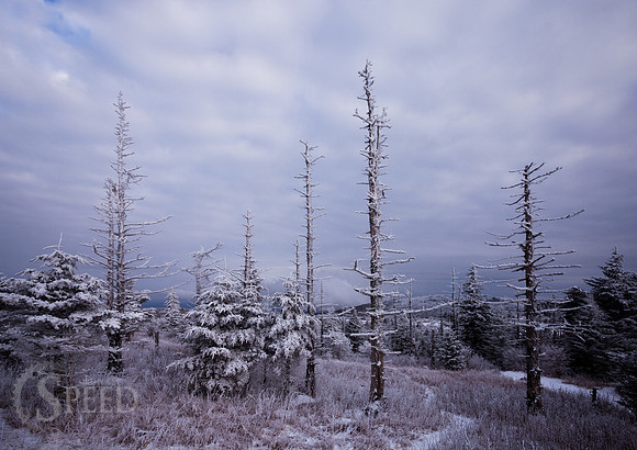 Grayson Highlands State Park