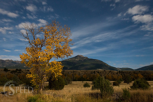 Paradise Valley, Yellowstone River, Chico Hotsprings