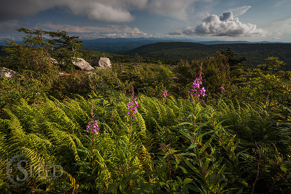 Grayson Highlands State Park