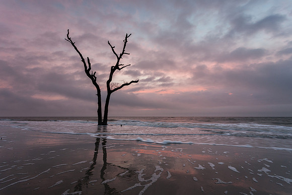 Hunting Island Boneyard