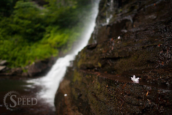Virginia Cascades
