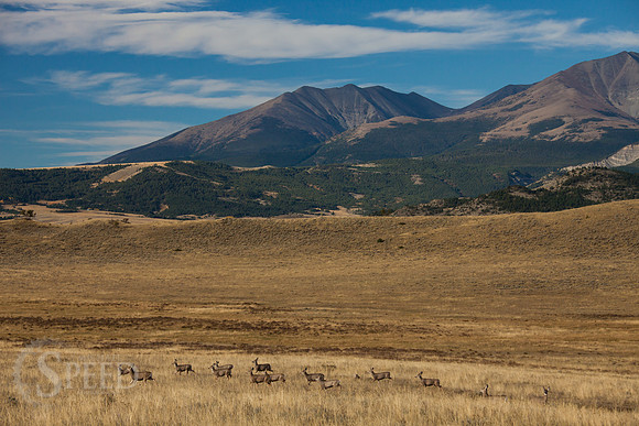 Crazy Mountain Range of Montana