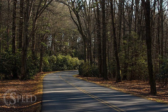 blue ridge music center area
