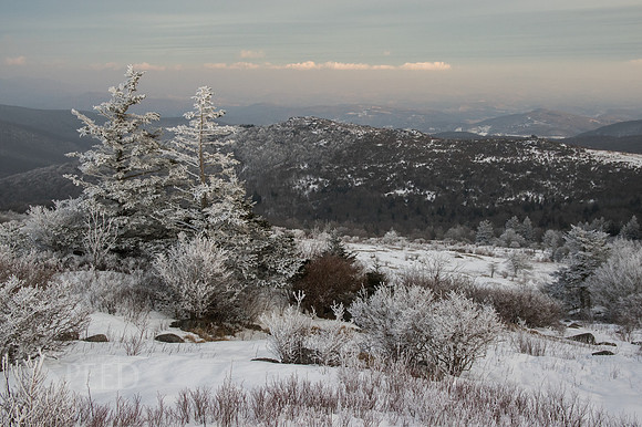 Grayson Highlands Winter