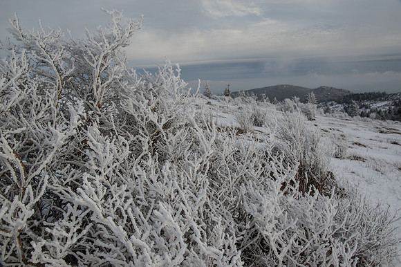 Grayson Highlands Winter