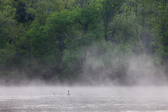 New River Trail State Park