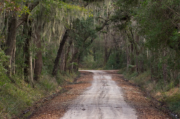 Edisto Island Beach and State Park