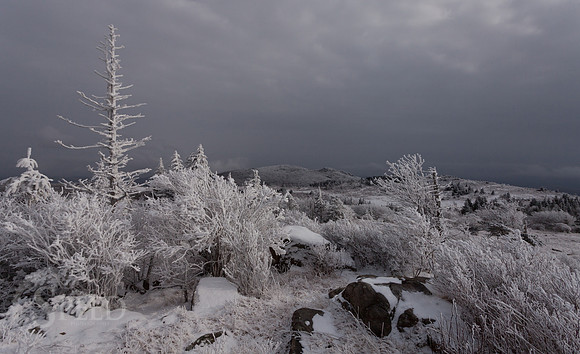 Grayson Highlands State Park