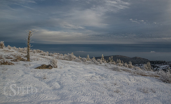 Grayson Highlands Winter