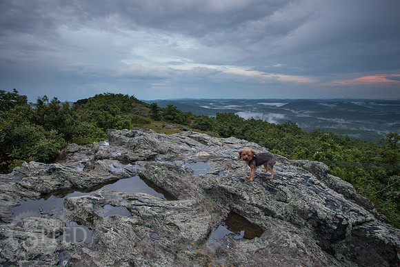 Buffalo Mountain Nature Preserve